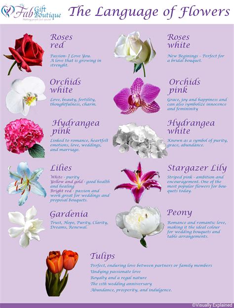 flowers meaning trust|symbols that mean trust.